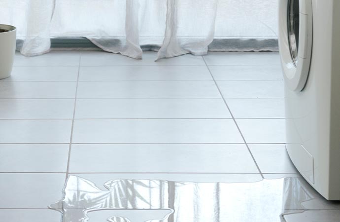 Appliance Leak Tips to Prevent Water Damage 