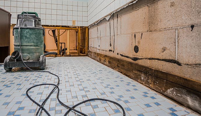 Mold damage restoration