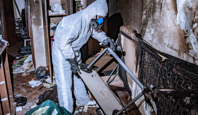 Professional restoration service