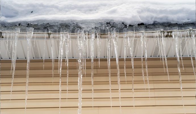 Snow and ice damage