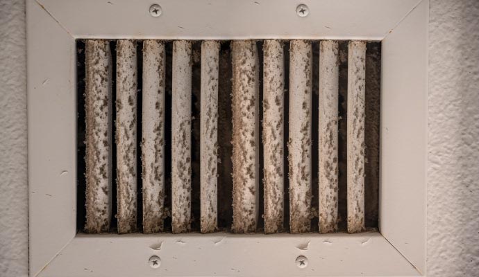Visible mold on air vent