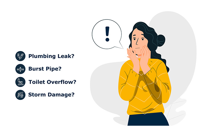 Water Damage Restoration Explainer Motion Video Thumb