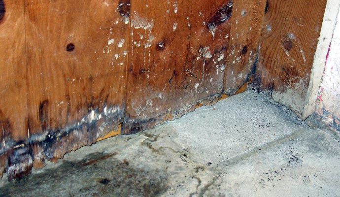 Mold growth on wooden walls and floors caused by water leaks