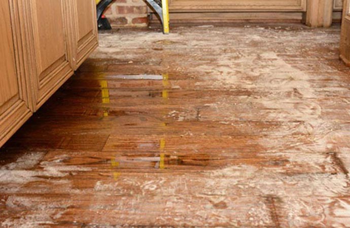 Common Plumbing Overflow Issues