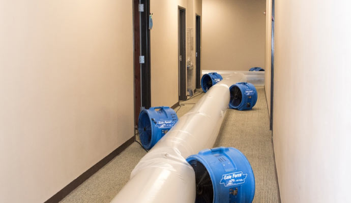 Professional water extraction service