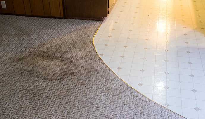 Stain on the carpet